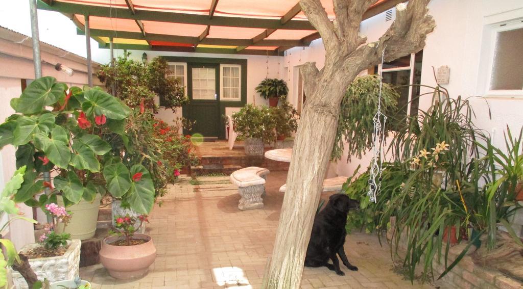 Vanrhynsdorp Van Rhyn Guest House מראה חיצוני תמונה